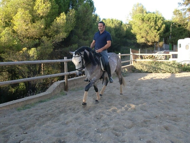 En el centro ecuestre